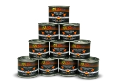 FX SERIES PINSTRIPING PAINT-FIRE